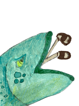 Jonah